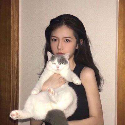 文明火种官方版下载